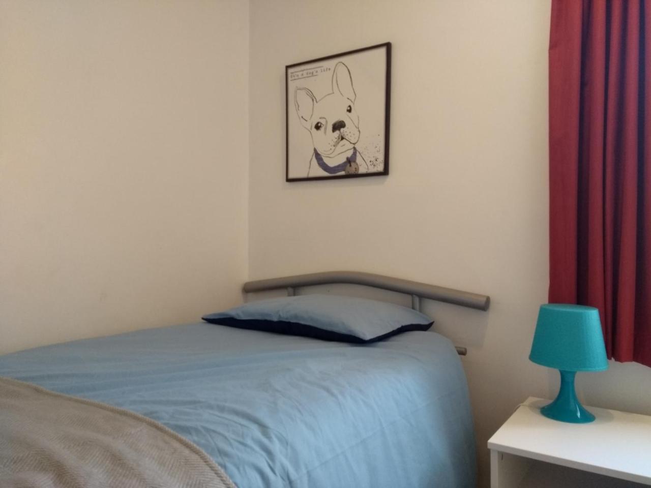 Very Central Location- Free Parking - 2 Bedrooms 贝尔法斯特 外观 照片